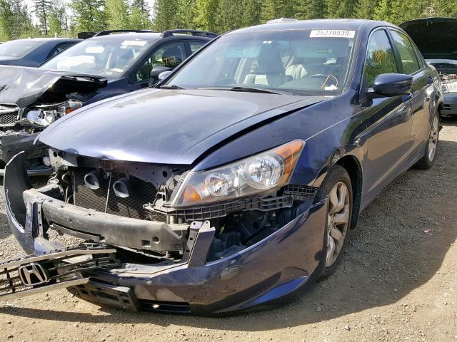 JHMCP26869C013735 - 2009 HONDA ACCORD EXL BLUE photo 2