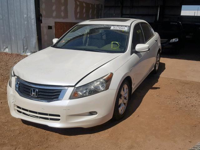 1HGCP36878A069458 - 2008 HONDA ACCORD EXL WHITE photo 2