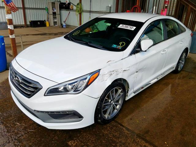 5NPE34AB1HH562086 - 2017 HYUNDAI SONATA SPORT  photo 2