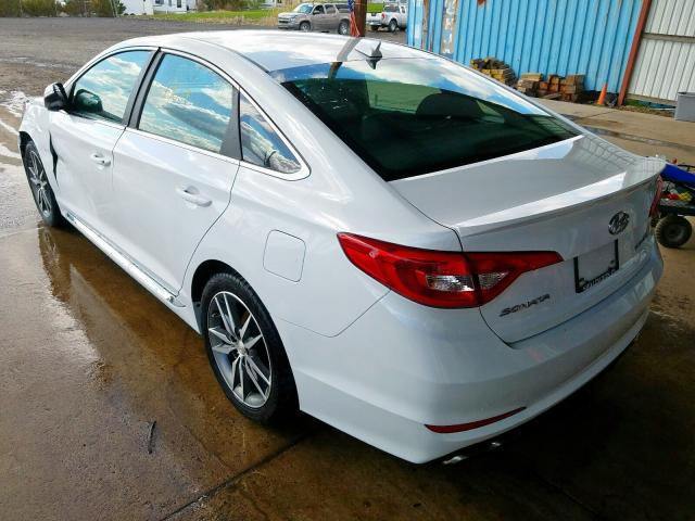 5NPE34AB1HH562086 - 2017 HYUNDAI SONATA SPORT  photo 3