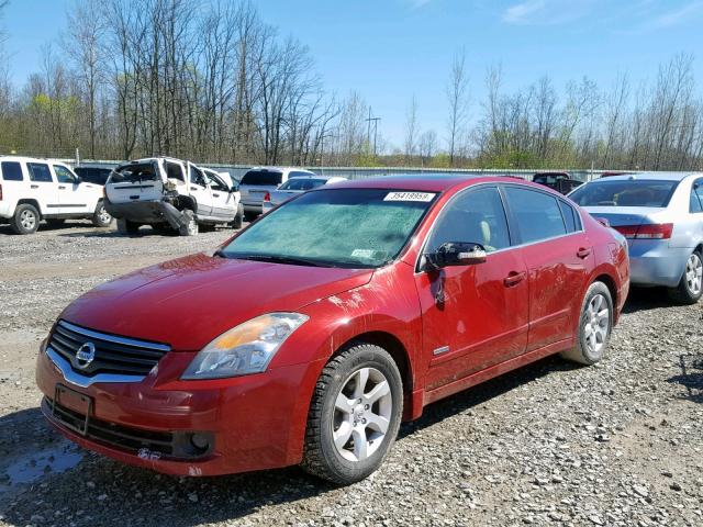 1N4CL21E18C240703 - 2008 NISSAN ALTIMA HYB RED photo 2