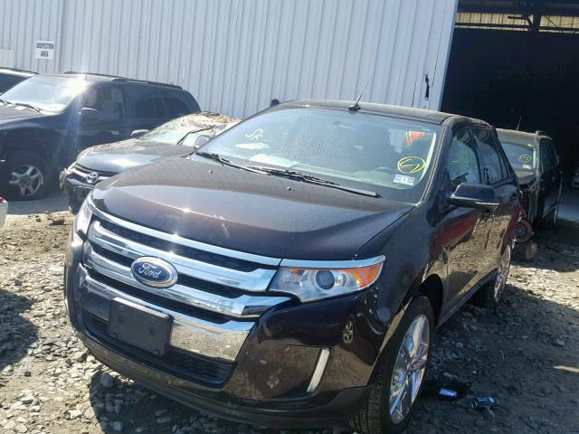 2FMDK4JC5EBA13873 - 2014 FORD EDGE SEL PURPLE photo 2