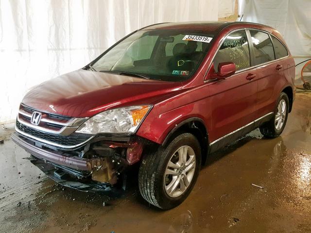 5J6RE4H71BL080602 - 2011 HONDA CR-V EXL RED photo 2