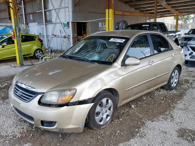 KNAFE221795651409 - 2009 KIA SPECTRA EX GOLD photo 2