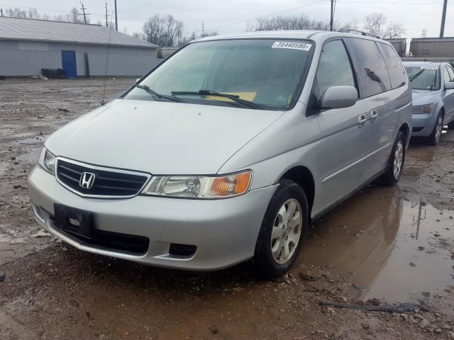 5FNRL18964B028965 - 2004 HONDA ODYSSEY EXL  photo 2