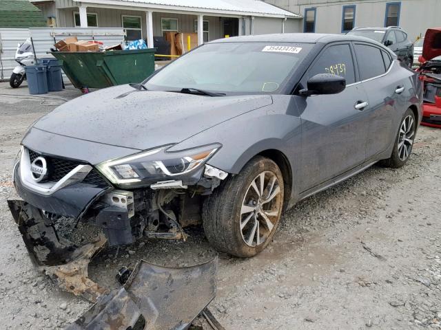 1N4AA6AP8HC380544 - 2017 NISSAN MAXIMA 3.5 GRAY photo 2