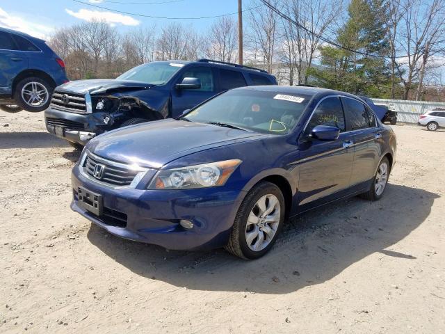 1HGCP36868A066521 - 2008 HONDA ACCORD EXL  photo 2