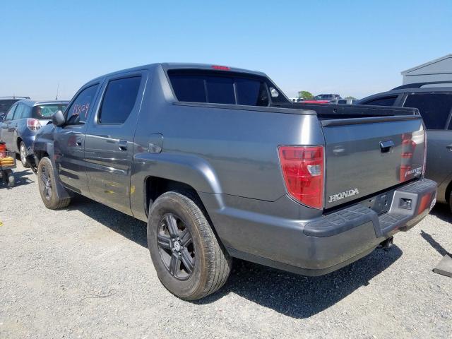 5FPYK16539B103666 - 2009 HONDA RIDGELINE RTL  photo 3