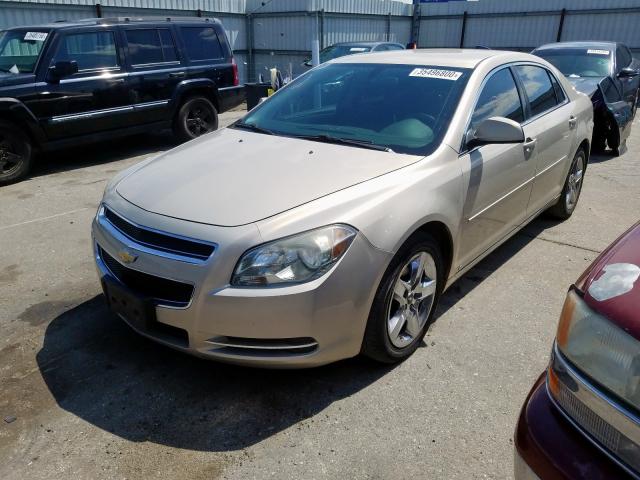1G1ZH57B09F246814 - 2009 CHEVROLET MALIBU 1LT  照片 2