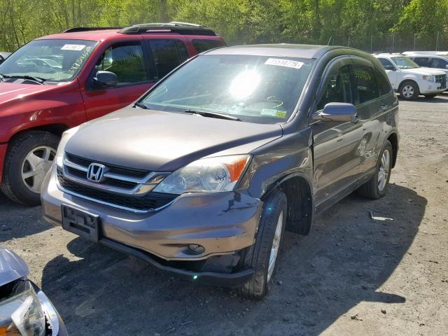 5J6RE4H78AL049118 - 2010 HONDA CR-V EXL GRAY photo 2