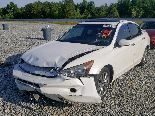 1HGCP3F81BA031201 - 2011 HONDA ACCORD EXL WHITE photo 2