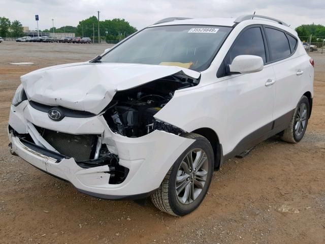 KM8JU3AG5FU099210 - 2015 HYUNDAI TUCSON LIM WHITE photo 2