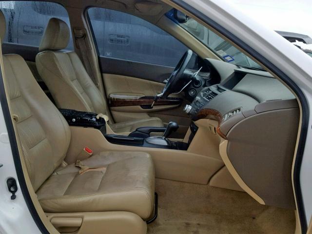 1HGCP26819A064204 - 2009 HONDA ACCORD EXL WHITE photo 5