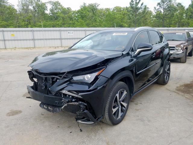 JTJBARBZ2J2172443 - 2018 LEXUS NX 300 BASE  photo 2