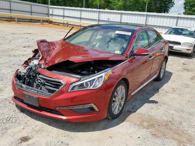 5NPE34AF8FH051944 - 2015 HYUNDAI SONATA SPO RED photo 2