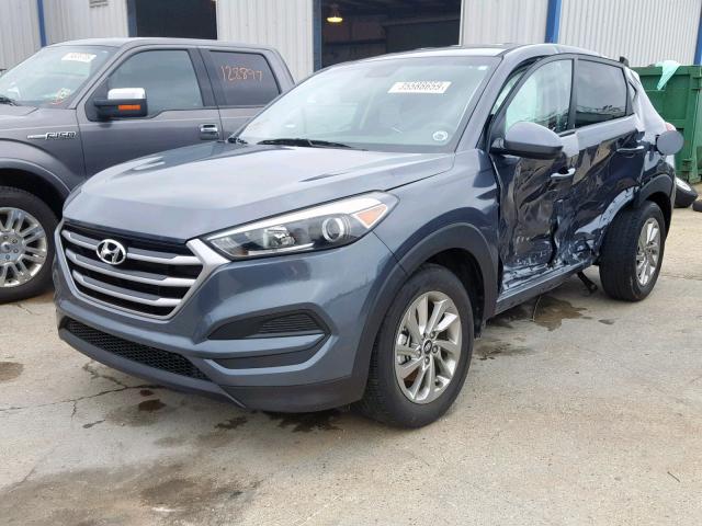 KM8J23A43HU330846 - 2017 HYUNDAI TUCSON SE BLUE photo 2