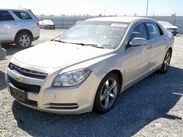 1G1ZC5E00CF290948 - 2012 CHEVROLET MALIBU 1LT BEIGE photo 2