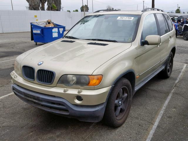 WBAFB3344YLH00831 - 2000 BMW X5 4.4I GOLD photo 2