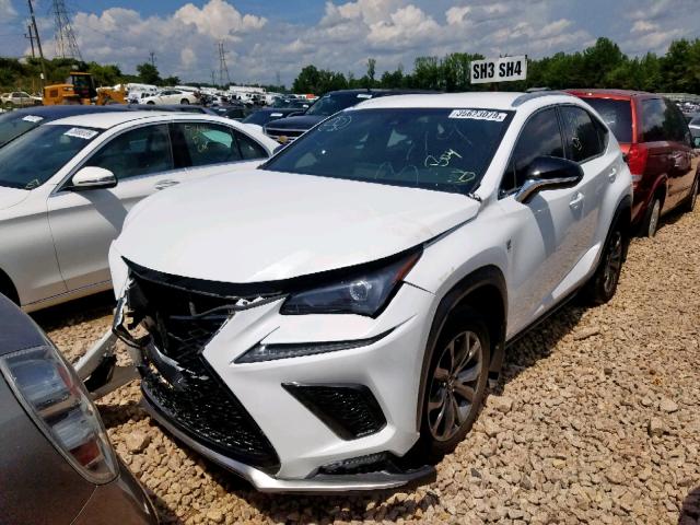 JTJYARBZ8K2128846 - 2019 LEXUS NX 300 WHITE photo 2