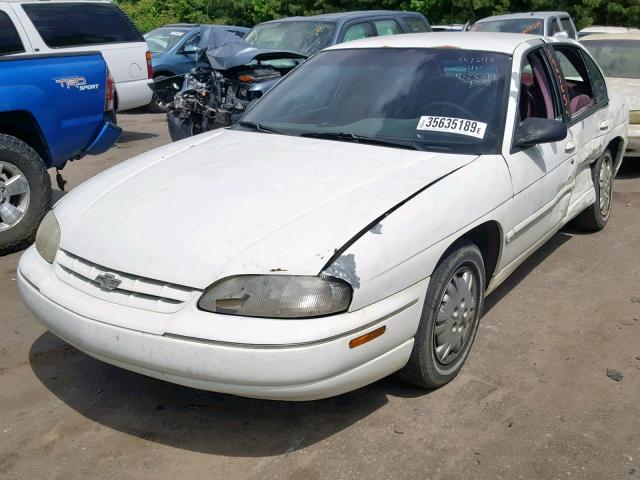 2G1WL52MXT1130898 - 1996 CHEVROLET LUMINA WHITE photo 2