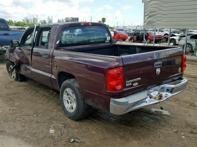 1D7HE48K65S224151 - 2005 DODGE DAKOTA QUA MAROON photo 3