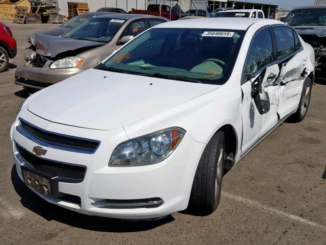 1G1ZC5E11BF368242 - 2011 CHEVROLET MALIBU 1LT WHITE photo 2