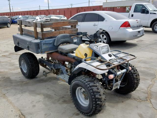 1645499 - 1989 ATV UTILITY GRAY photo 1