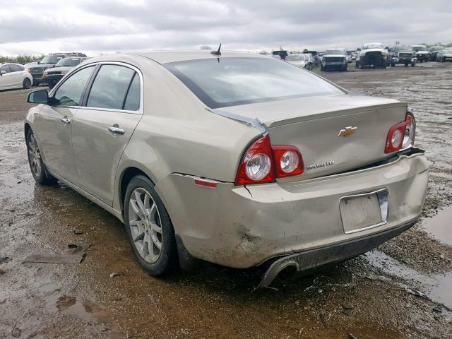 1G1ZE5E72BF216646 - 2011 CHEVROLET MALIBU LTZ BEIGE photo 3