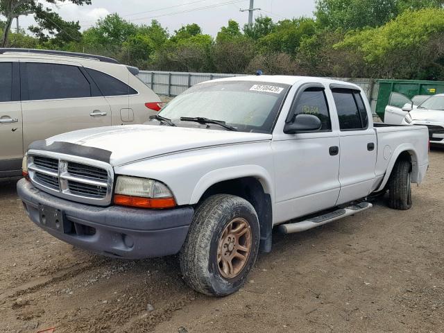 1D7HL38K34S602568 - 2004 DODGE DAKOTA QUA WHITE photo 2