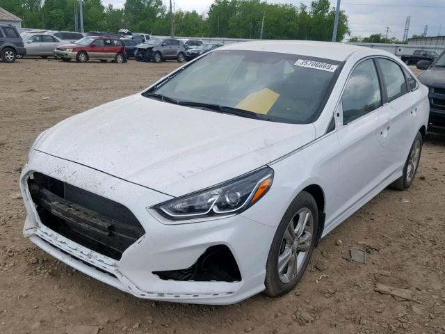 5NPE34AF7JH683262 - 2018 HYUNDAI SONATA SPO WHITE photo 2