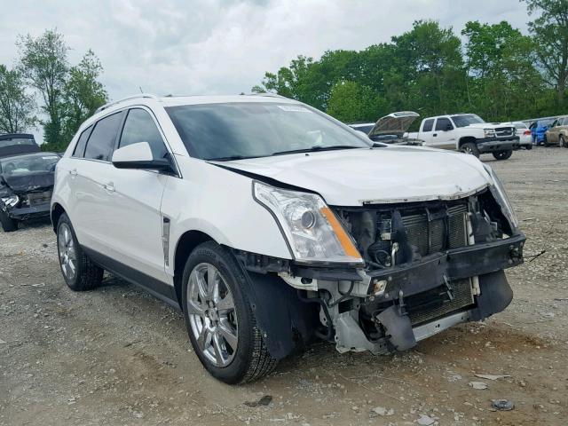 3GYFNJE60BS556832 - 2011 CADILLAC SRX PERFOR WHITE photo 1