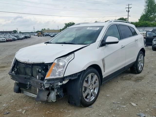 3GYFNJE60BS556832 - 2011 CADILLAC SRX PERFOR WHITE photo 2