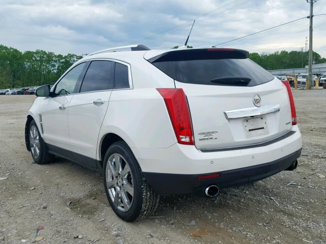 3GYFNJE60BS556832 - 2011 CADILLAC SRX PERFOR WHITE photo 3