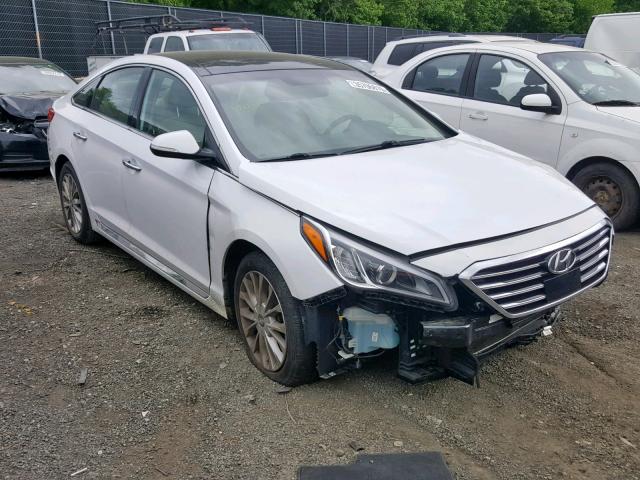 5NPE34AF7FH082084 - 2015 HYUNDAI SONATA SPO WHITE photo 1