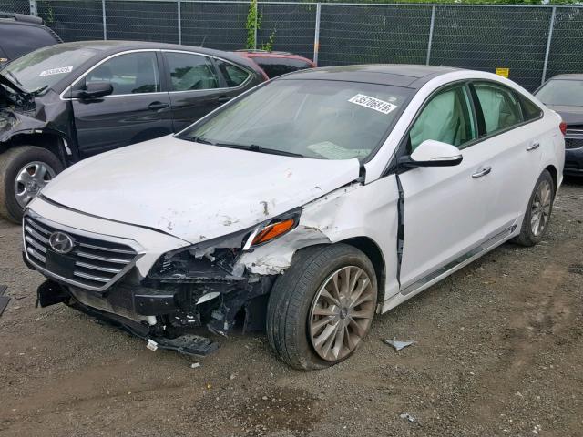 5NPE34AF7FH082084 - 2015 HYUNDAI SONATA SPO WHITE photo 2