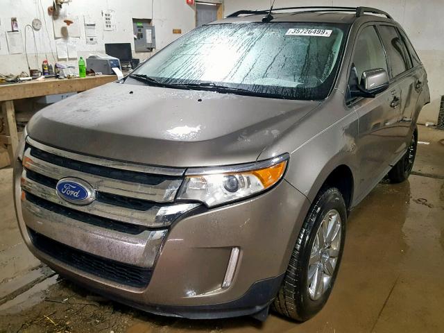 2FMDK3JC2DBA79614 - 2013 FORD EDGE SEL TAN photo 2