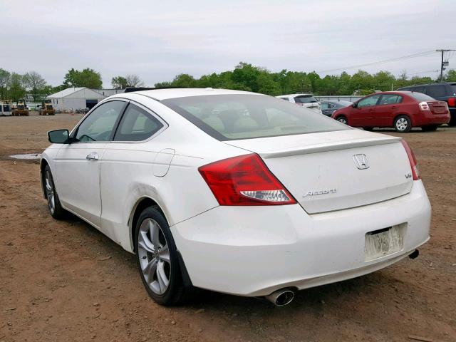 1HGCS2B83CA009605 - 2012 HONDA ACCORD EXL WHITE photo 3