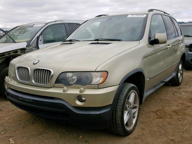 5UXFB33513LH49696 - 2003 BMW X5 4.4I GOLD photo 2