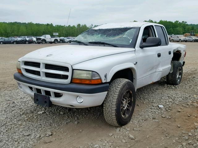 1D7HG38NX3S174883 - 2003 DODGE DAKOTA QUA WHITE photo 2