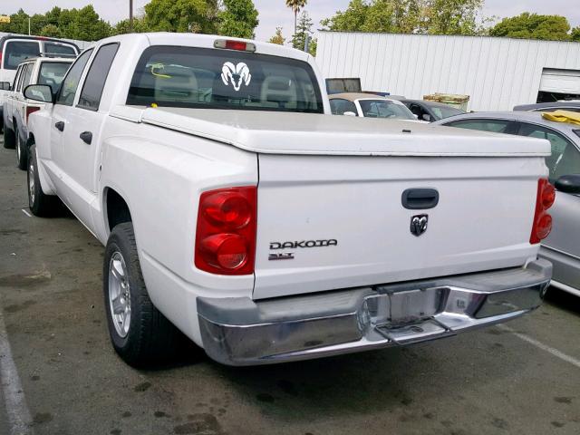 1D7HE48K55S157641 - 2005 DODGE DAKOTA QUA WHITE photo 3