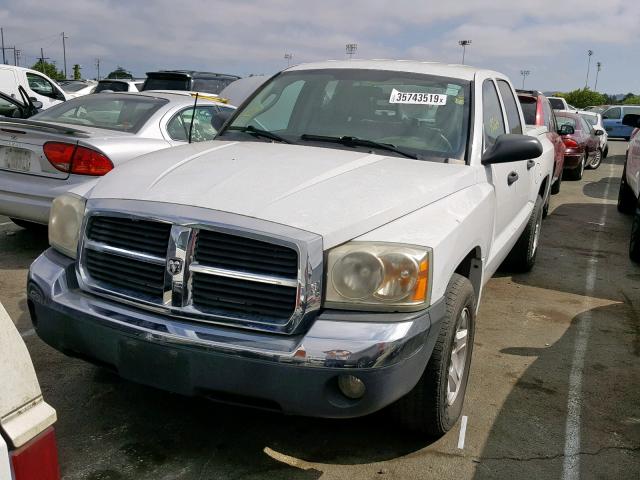 1D7HE48K55S157641 - 2005 DODGE DAKOTA QUA WHITE photo 9