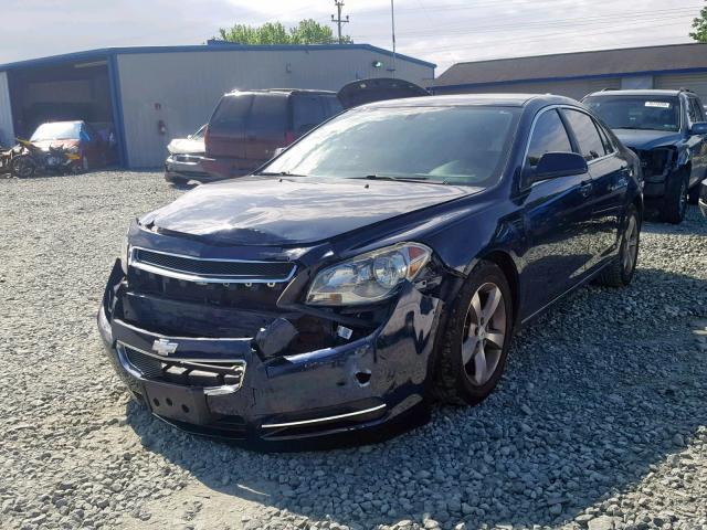 1G1ZC5EU3BF346222 - 2011 CHEVROLET MALIBU 1LT BLUE photo 2