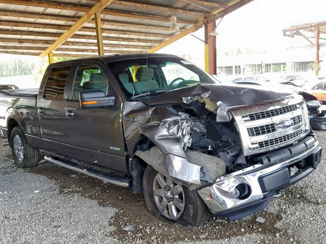 1FTFW1ET9DFC74592 - 2013 FORD F150 SUPER GRAY photo 1