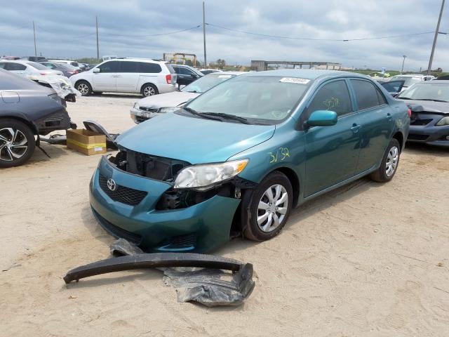 1NXBU4EE9AZ327835 - 2010 TOYOTA COROLLA BASE  photo 2