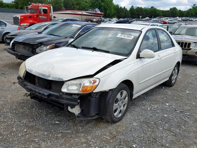 KNAFE121885562568 - 2008 KIA SPECTRA EX WHITE photo 2