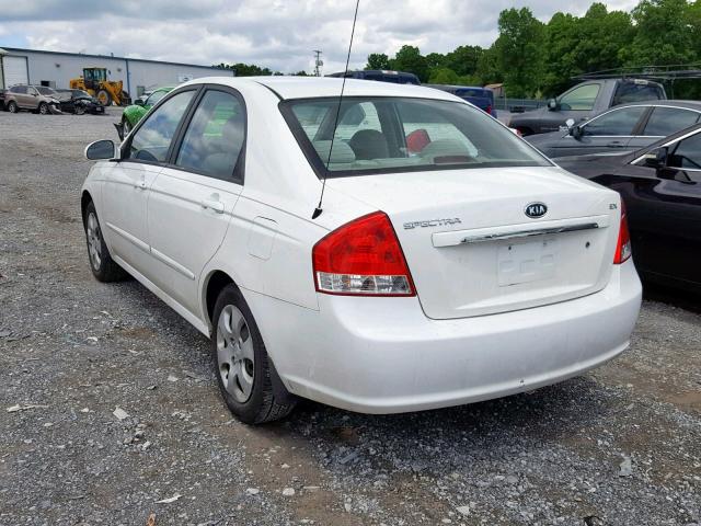 KNAFE121885562568 - 2008 KIA SPECTRA EX WHITE photo 3