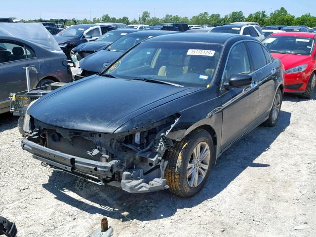 1HGCP36888A081117 - 2008 HONDA ACCORD EXL BLACK photo 2