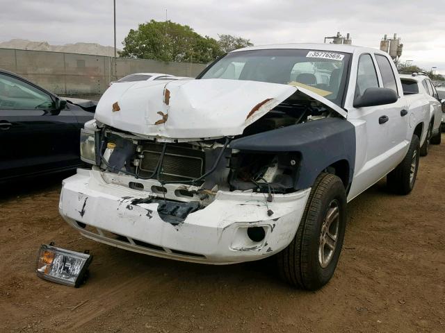 1D7CE3GK9AS166021 - 2010 DODGE DAKOTA SXT WHITE photo 2