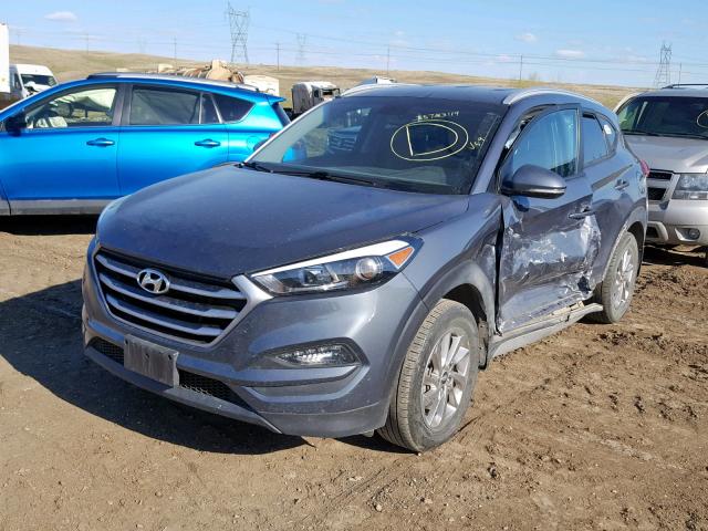 KM8J3CA42HU436153 - 2017 HYUNDAI TUCSON LIM GRAY photo 2