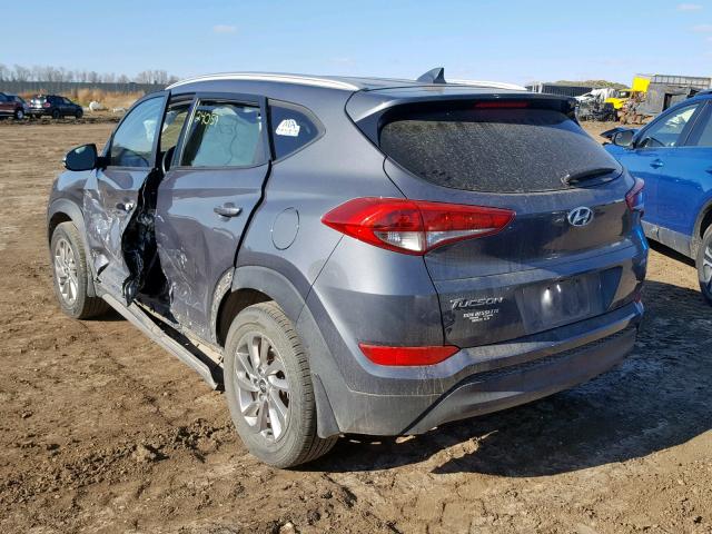 KM8J3CA42HU436153 - 2017 HYUNDAI TUCSON LIM GRAY photo 3